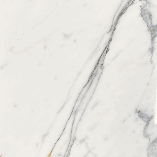 Statuario White Marble Honed 12x12" Floor and Wall Tile