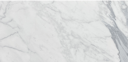 Statuario White Marble Honed 6x12" Subway Floor Wall Tile Statuario White Marble Honed 6x12" Subway Floor Wall Tile