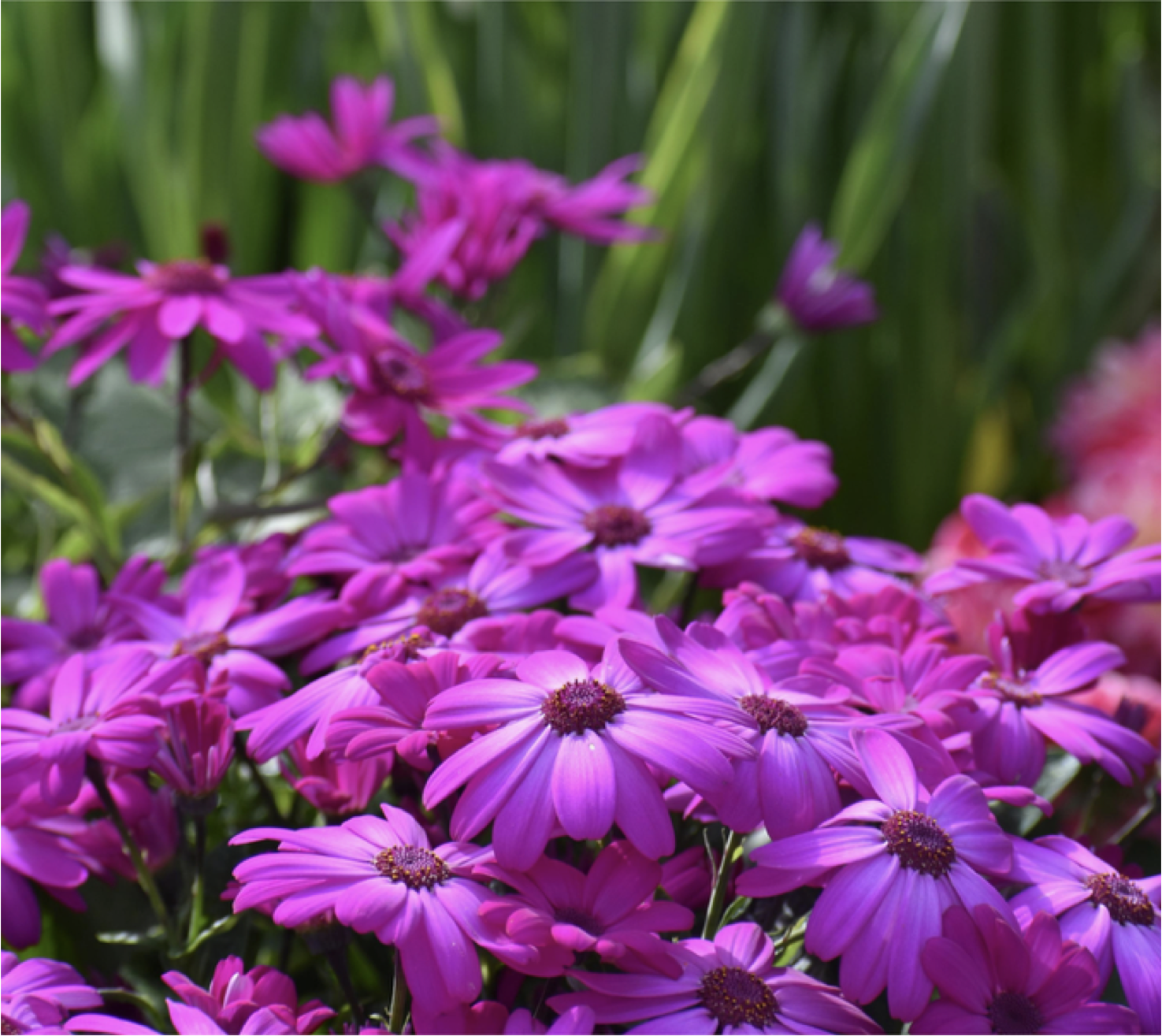 Natural Herbal Bath and Body Products