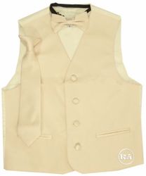 Elegant Boys' Vest & Tie for Weddings and Parties