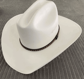 Stylish Cowboy Hat for Everyday Wear