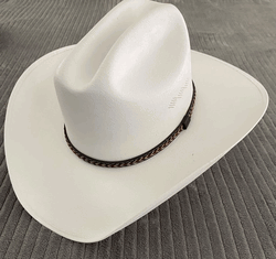Stylish Cowboy Hat for Everyday Wear