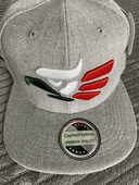 Mexico Eagle Snapback Hat Silver