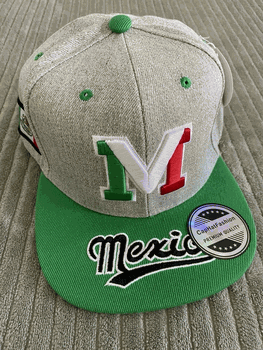 Mexico Hat Snapback New Style Silver and Green