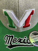 Mexico Hat Snapback New Style Silver and Green