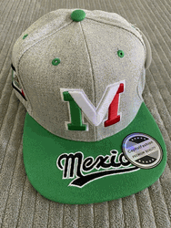 Mexico Hat Snapback New Style Silver and Green