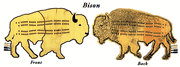Bison Cribbage Boards