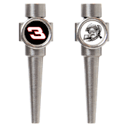 Dale Earnhardt #3 NASCAR Cribbage Pegs