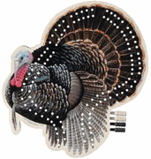 Turkey Cribbage Boards