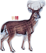 Whitetail and Buck Deer Cribbage Boards