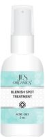 Natural Blemish Spot Treatment and Clearing Mask with Colloidal Silver & Botanicals 
