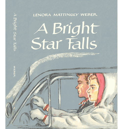 A Bright Star Falls eBook