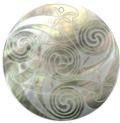 Blacklip shell round