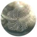 Blacklip shell round