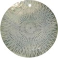 Blacklip shell round