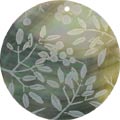 Blacklip shell round