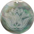 Blacklip shell round