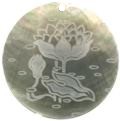Blacklip shell round