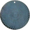 Blacklip shell round in blue