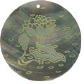 Blacklip shell round in celedon