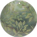 Blacklip shell round in celedon