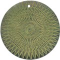 Blacklip shell round in celedon
