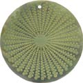 Blacklip shell round in celedon