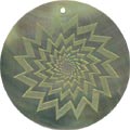 Blacklip shell round in celedon Blacklip shell round in celedon