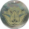Blacklip shell round in celedon