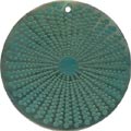Blacklip shell round in green