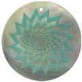 Blacklip shell round in green