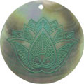Blacklip shell round in green