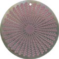 Blacklip shell round in purple