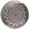 Blacklip shell round in purple
