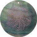 Blacklip shell round in purple Blacklip shell round in purple