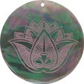 Blacklip shell round in purple