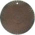 Blacklip shell round in toffee