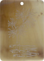 Brown pen shell rectangle