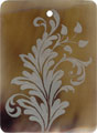 Brown pen shell rectangle