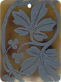 Brown pen shell rectangle in blue