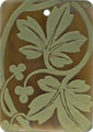 Brown pen shell rectangle in celedon