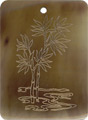 Brown pen shell rectangle in gold