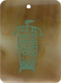 Brown pen shell rectangle in green