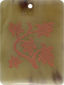 Brown pen shell rectangle in red