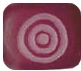 Buri Seed