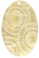 Mother of pearl shell oval