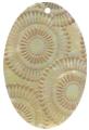 Mother of pearl shell oval in gold