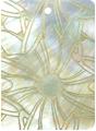 Mother of pearl shell rectangle in celedon