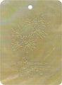 Mother of pearl shell rectangle in celedon