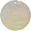 Mother of pearl shell round